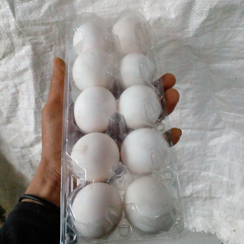 

telor ayam kampung komsumsi