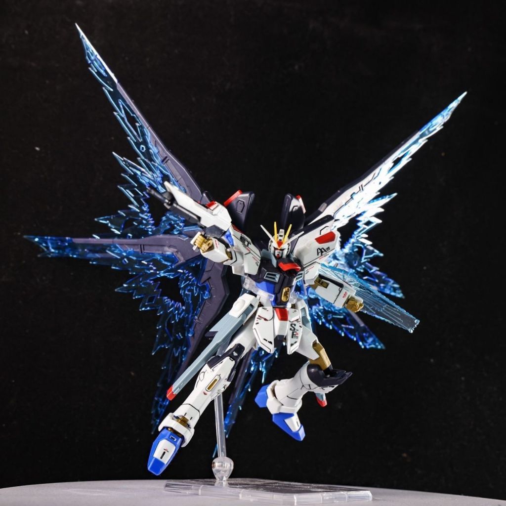 IK3 Gaoke 201 HG 1/144 Strike Freedom Revive Fighter Mode Kit