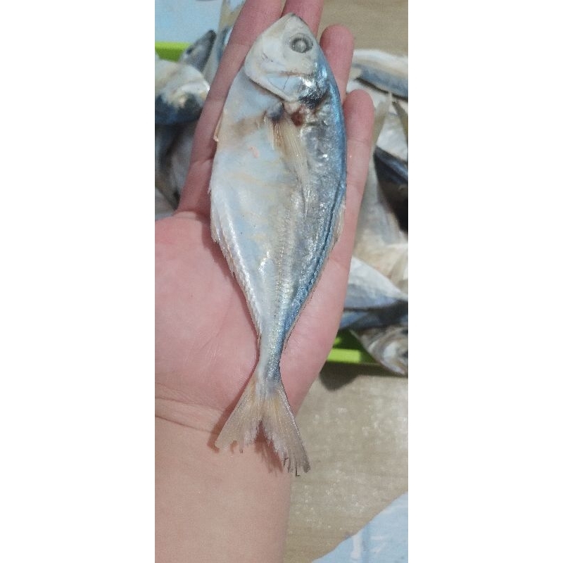 

IKAN ASIN SELAR FRESH