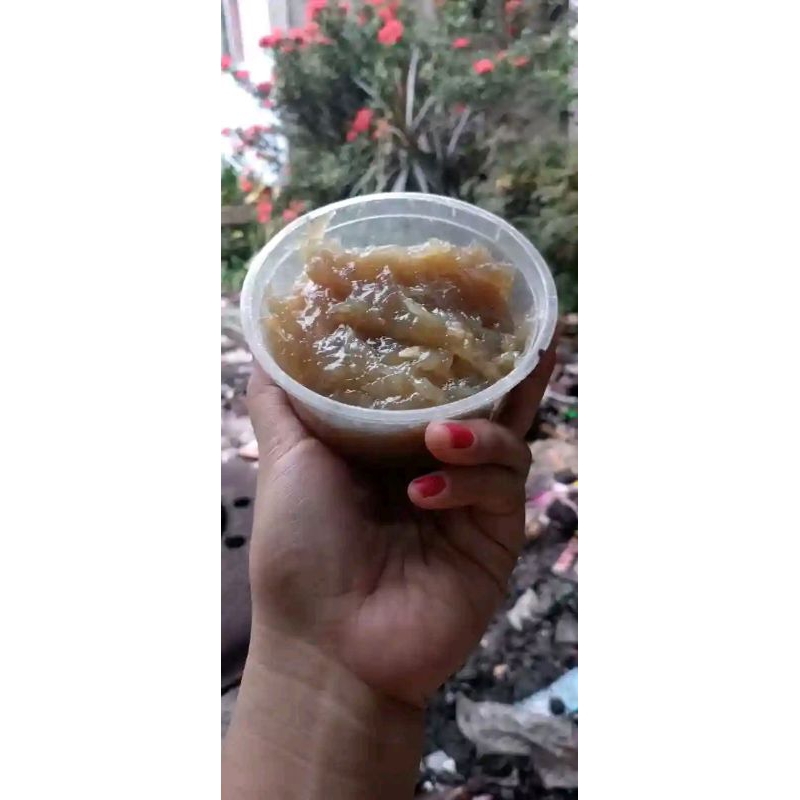 

gula durian/selai durian