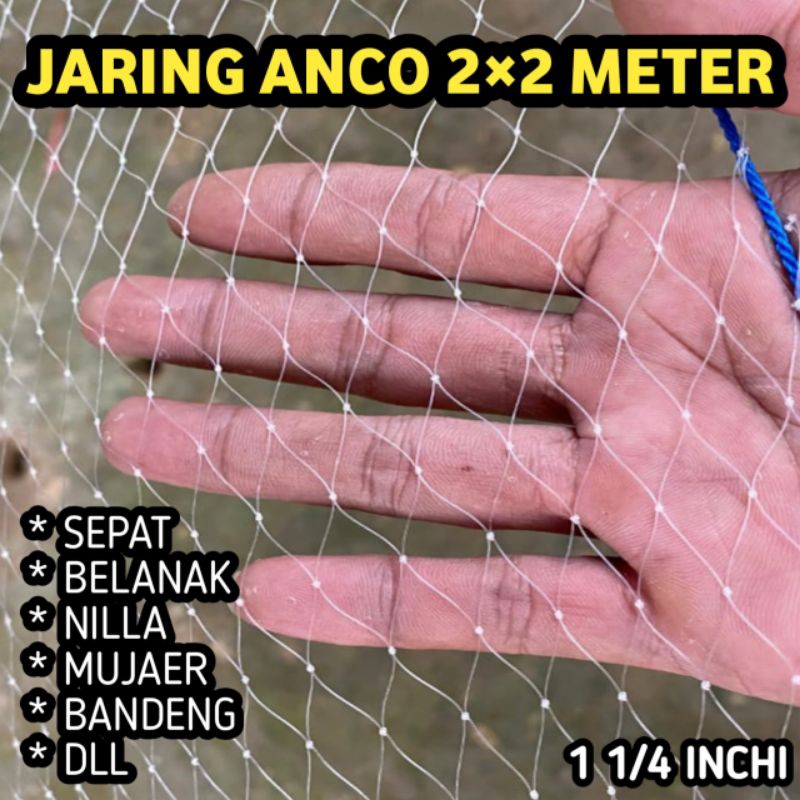 Jaring anco sirib ikan ukuran 2×2 meter tangkul ikan sepat nilla mujaer jaring ikan