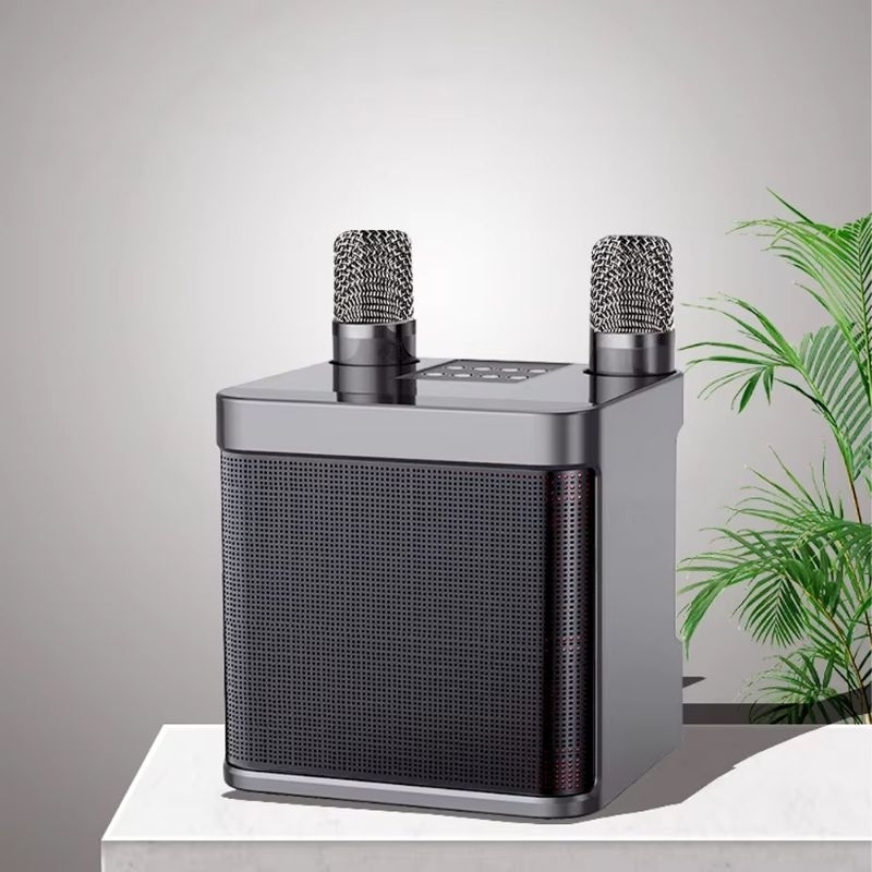 BAFOVY Speaker Bluetooth Portable Karaoke with Wireless Microphone - YS203 - Black