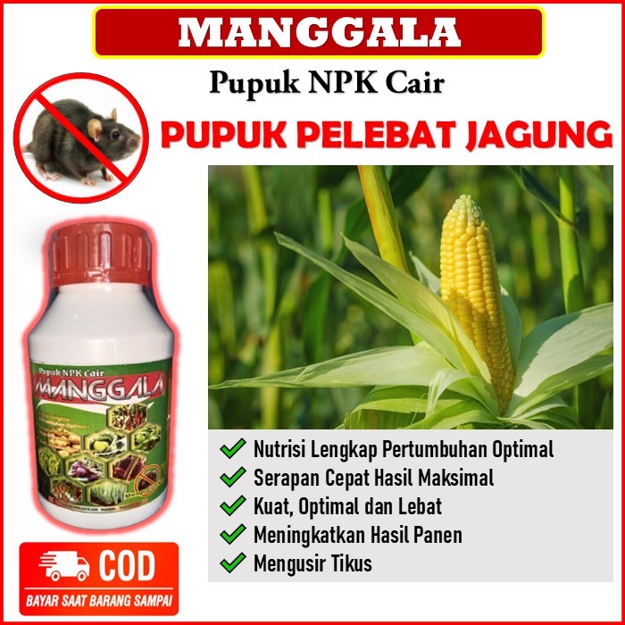 pupuk organik pelebat jagung terbaik - MANGGALA pupuk NPK cair Merangsang Pertumbuhan Tanaman serta 