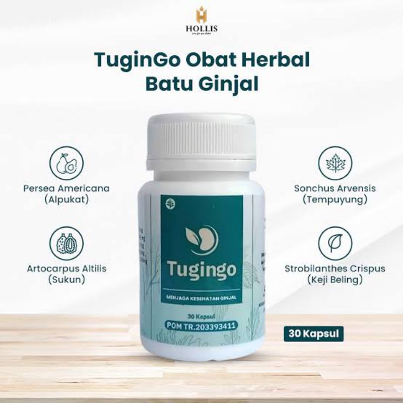 Hollis Tugingo Obat Herbal Batu Ginjal Tugingo 30 Kapsul Original BPOM