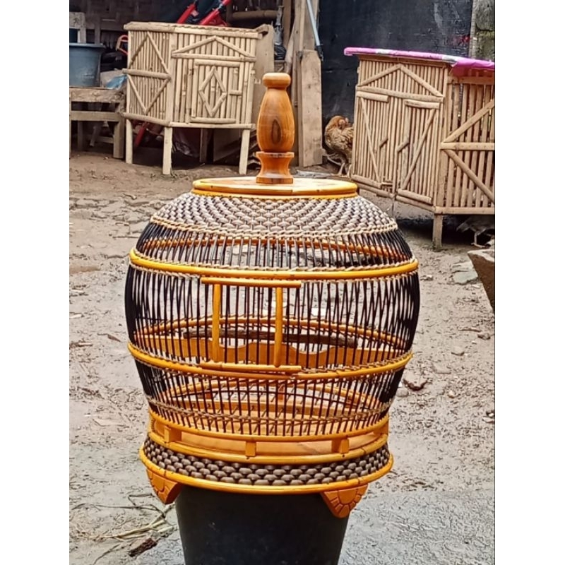 kurungan burung perkutut