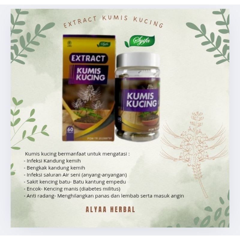 

Ekstract kumis kucing syifa