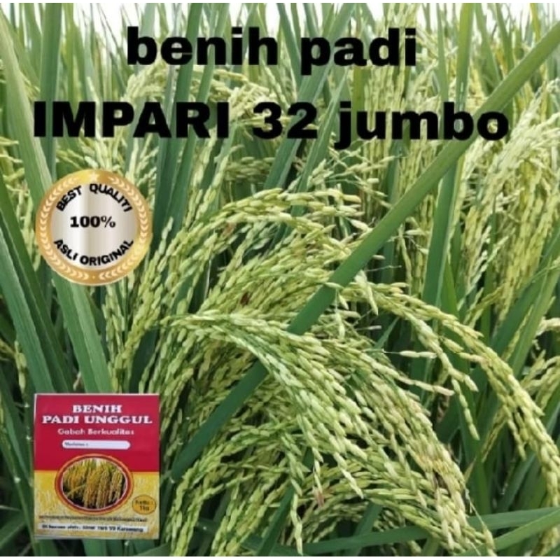BENIH PADI UNGGUL INFARI 32 kemasan 1kg