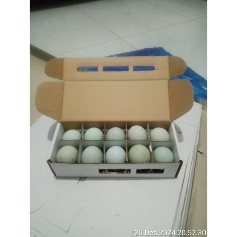 

telur asin matang masir fresh 10 pcs.