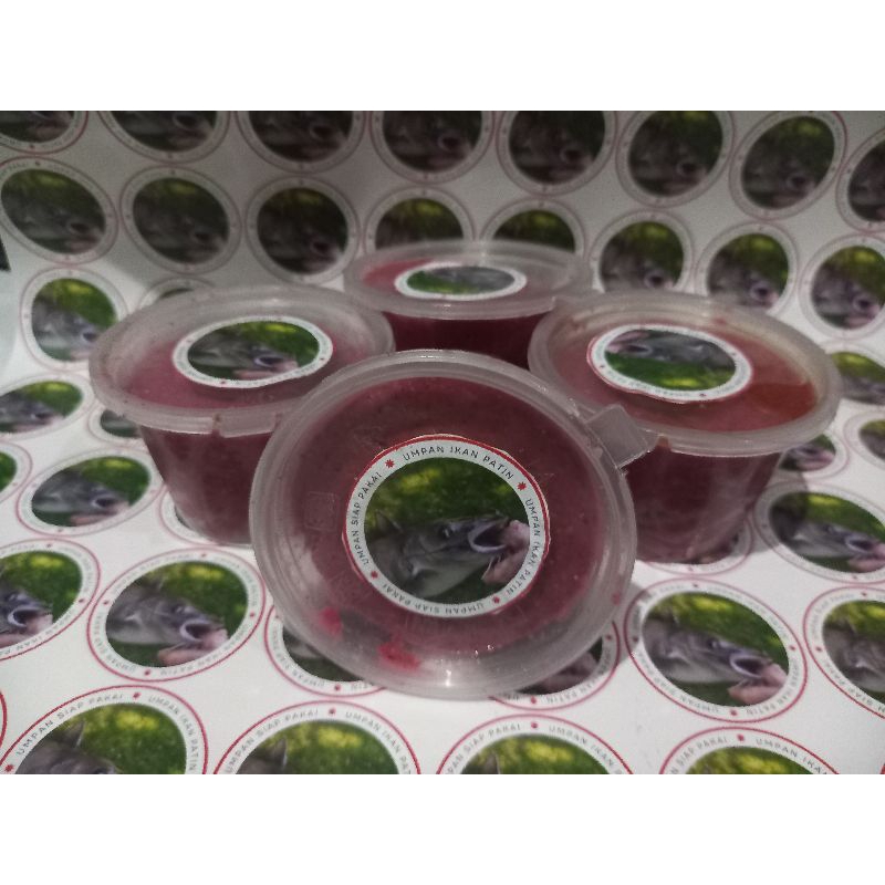 Spesialis Umpan ikan patin Gacor Siap pakai