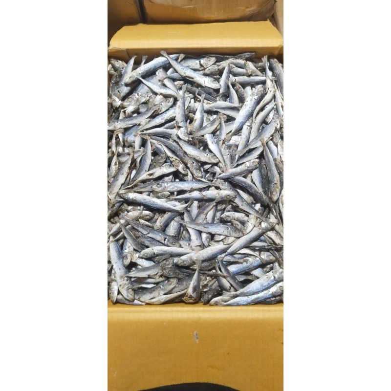 

Layang rebus 10kg