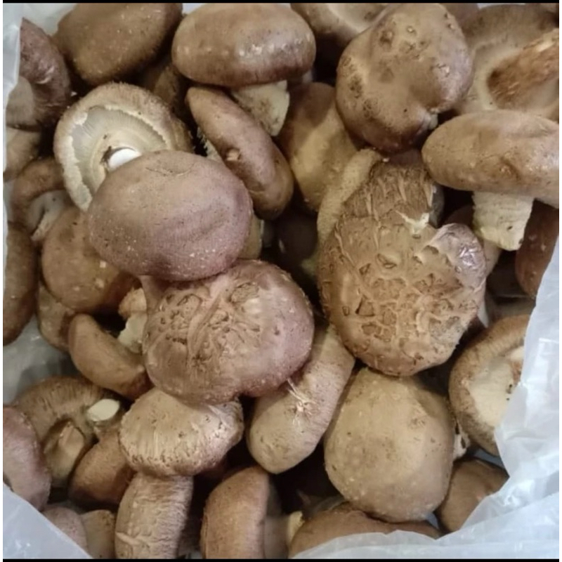 

jamur shitake basah/curah fresh import 1box 5kg