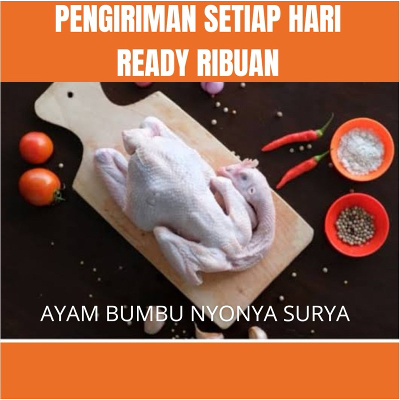 

Ayam Mentah Pejantan 1 Ekor fresh