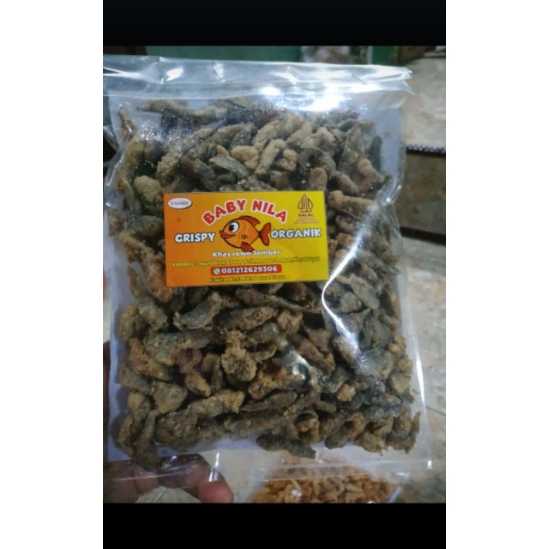 

Baby Nila Krispi Organik | Lauk dan cemilan | Oleh oleh khas Rowo jombor