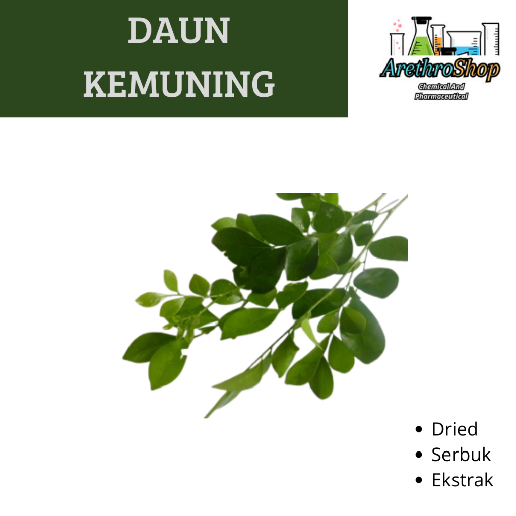 

EKSTRAK DAUN KEMUNING 10 GRAM BEST PRODUCT