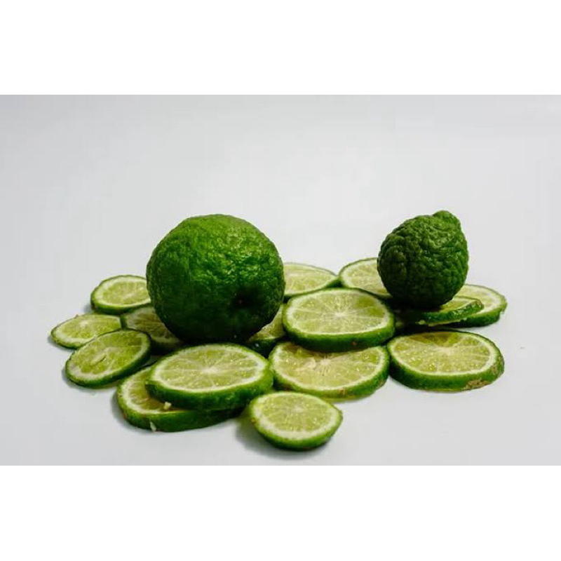 

jeruk purut segar per pcs buah jeruk purut