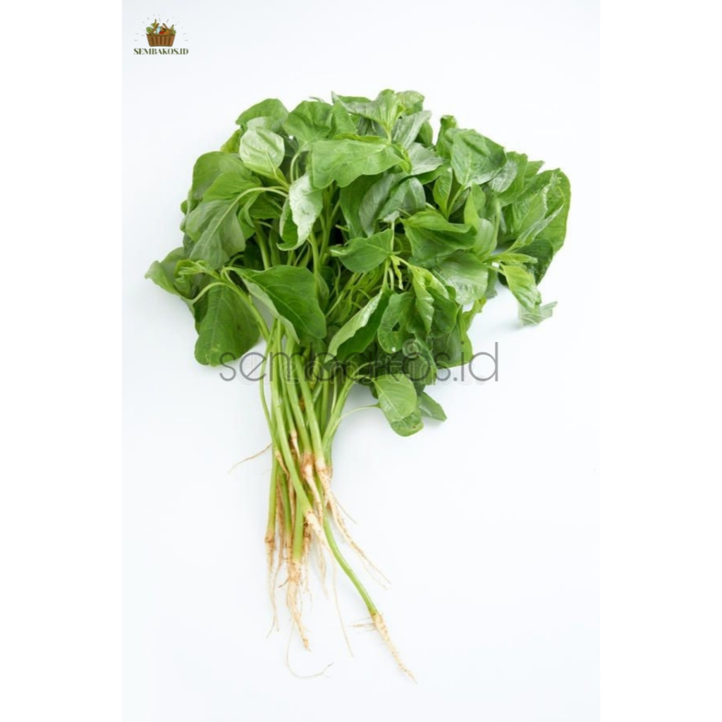 

INSTAN- SAYUR BAYAM IKAT KECIL FRESH | SAYUR BAYEM IKAT KECIL