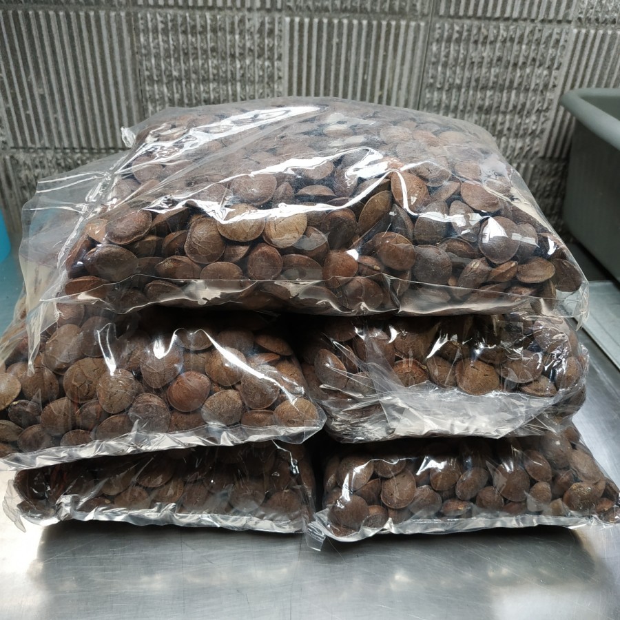 PRODUK READY Benih Kacang Sacha Inchi
