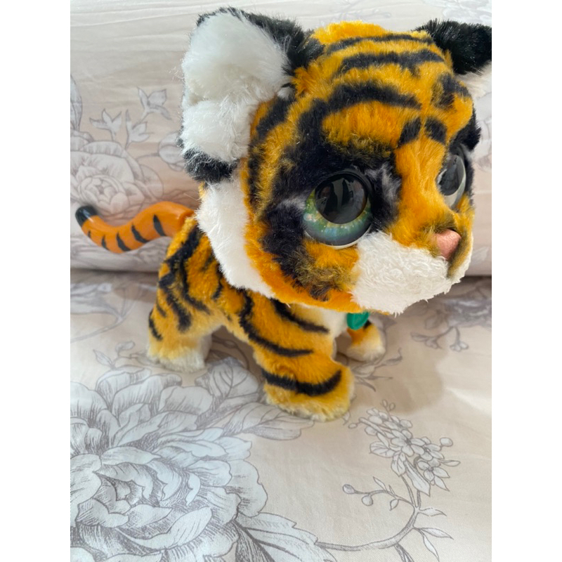 PRELOVED BONEKA KUCING