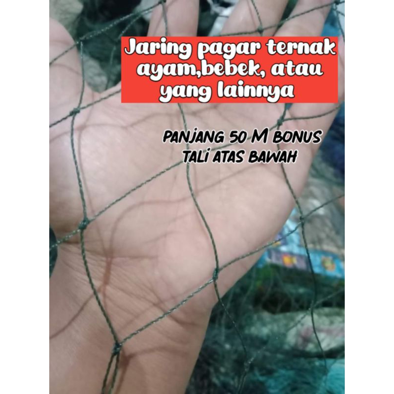 Jaring Pagar Ternak Ayam, Bebek Panjang 50 M