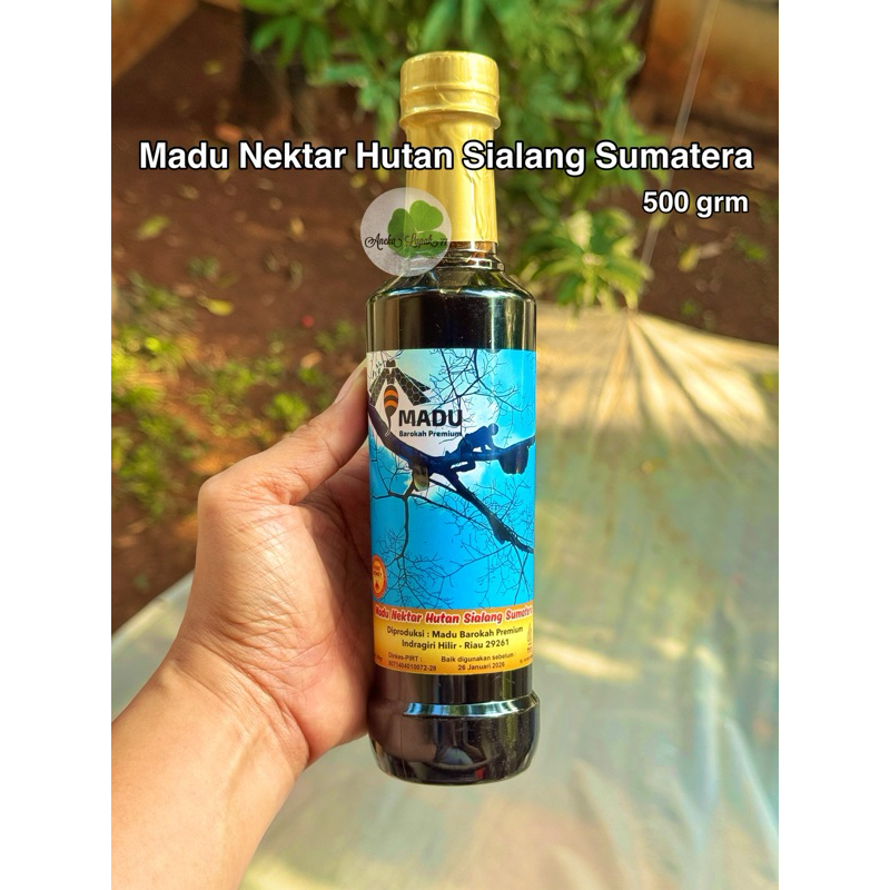 

Madu Nektar Hutan Sialang Sumatera 500 grm Madu Hutan Murni Asli Enak