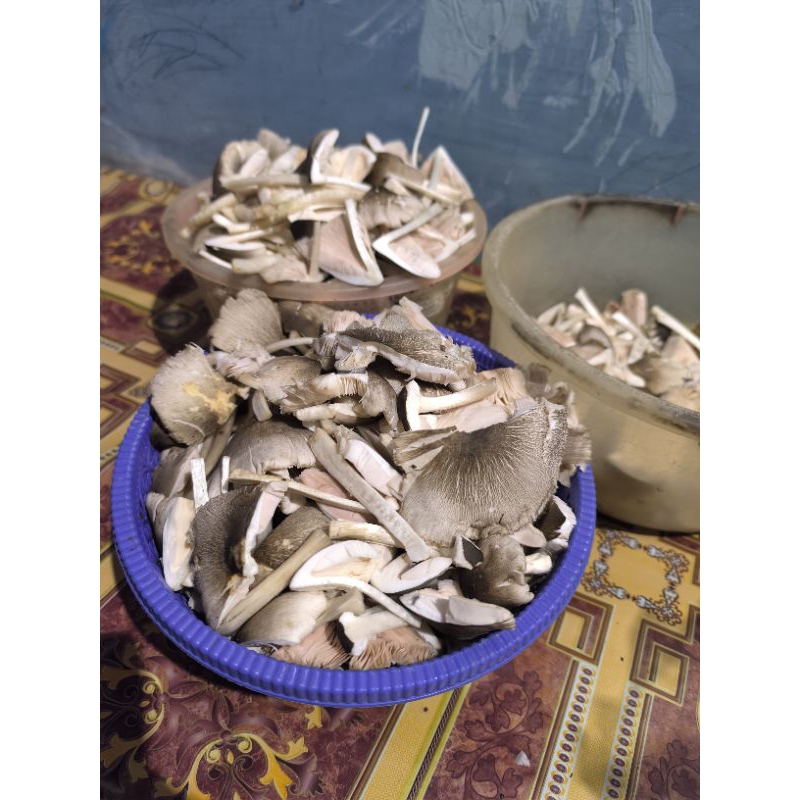 

jamur kelapa sawit segar(fresh) 250gram