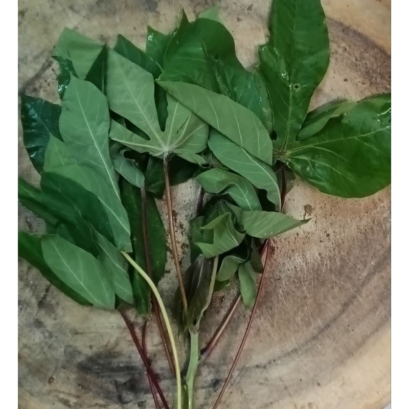 

Daun Singkong Organik 250g