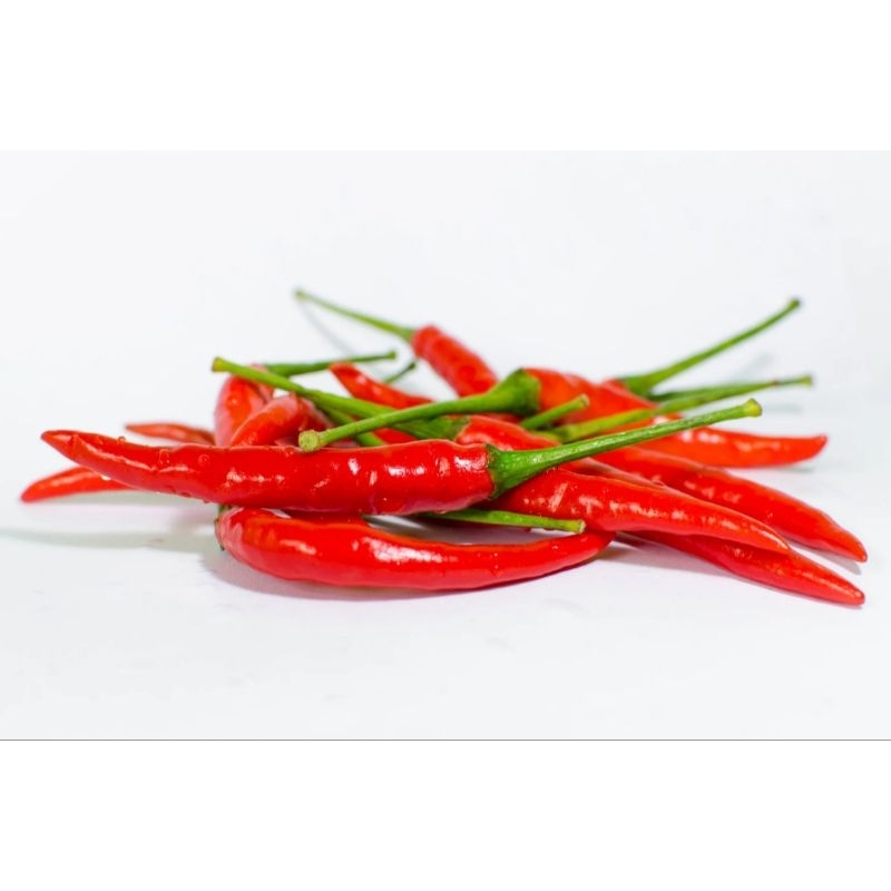 

CABAI RAWIT MERAH PEDAS