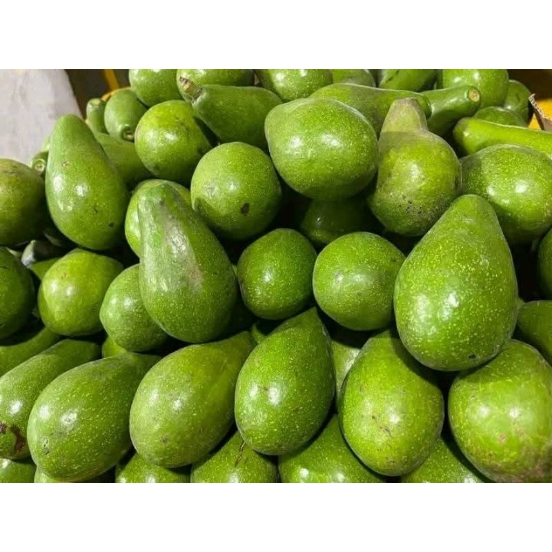 

TERMURAH alpukat mentega kuningan per 1kg mulus dikirim mentah