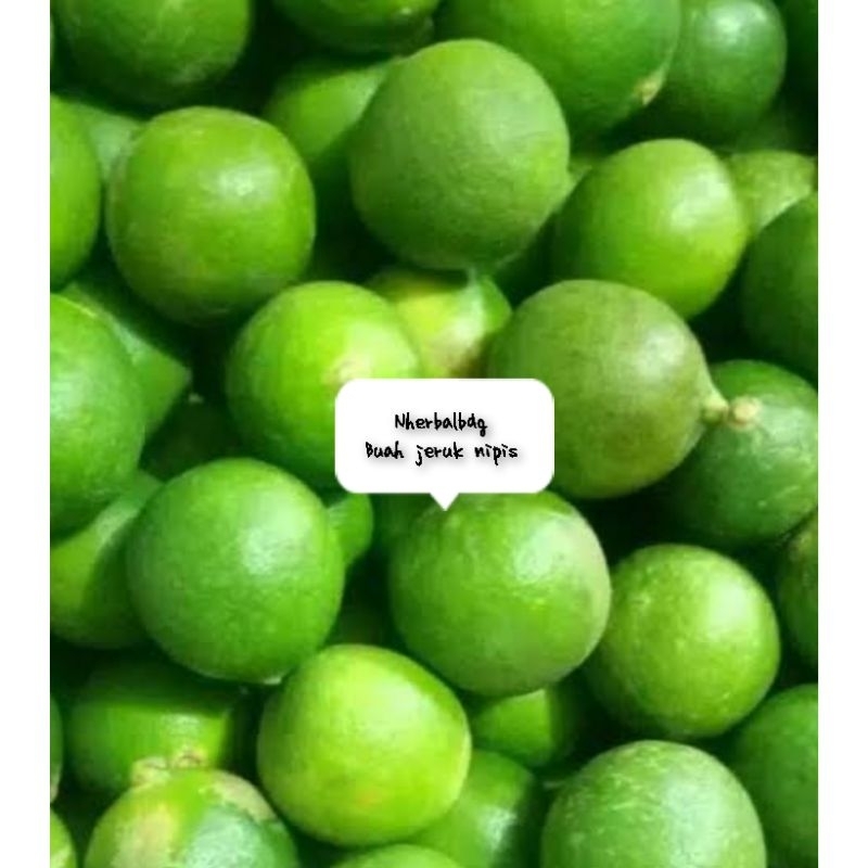 

Buah jeruk nipis segar 500 gram bonus daun jeruk nipis