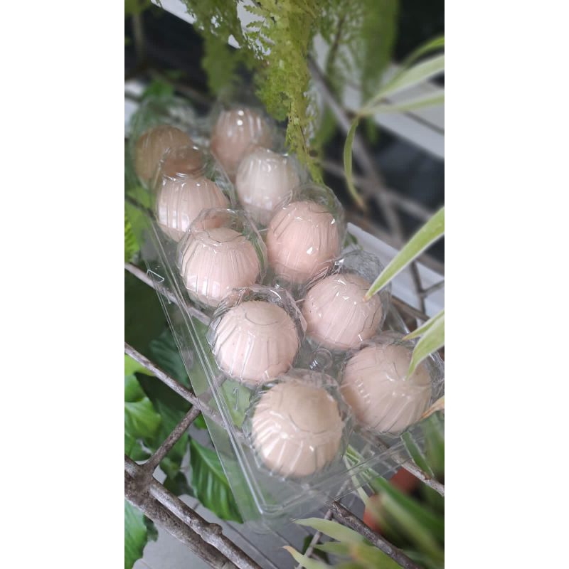 

Telur Ayam Kampung Fresh