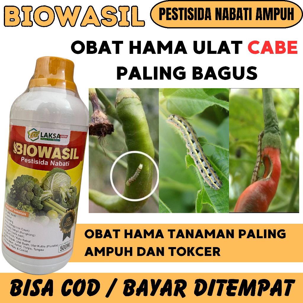 obat hama ulat cabe paling ampuh Biowasil 500 ML obat hama ulat pada tanaman cabe