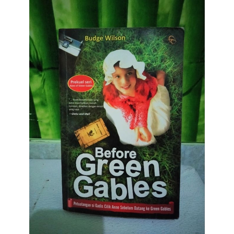 Novel Before Green Gables - Budge Wilson