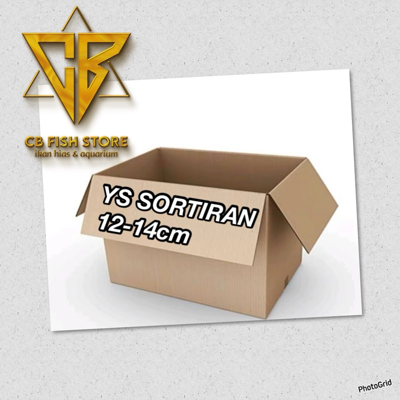 

PACKING YS PROGRES KUALITAS