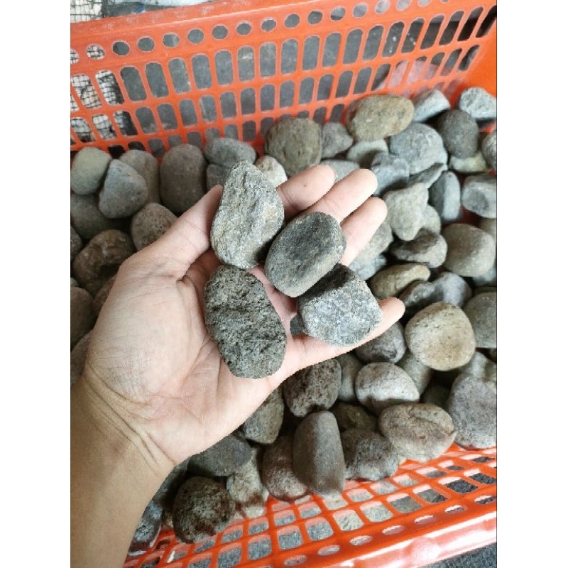 BATU SUNGAI BATU KALI UNTUK AQUARIUM ATAU TAMAN