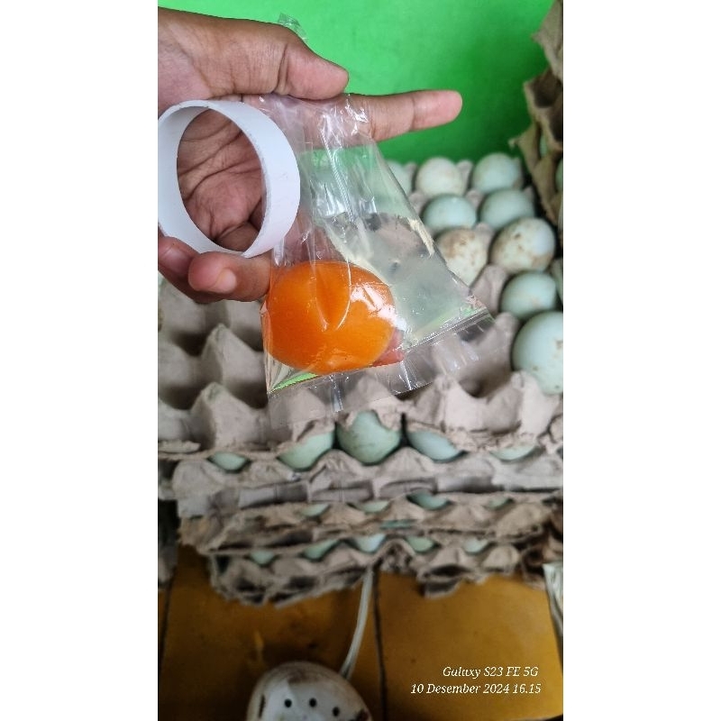 

Telur Bebek Mentah Omega Manik Oren Fress Segar Gratis Packing Kayu Ready Setiap Hari