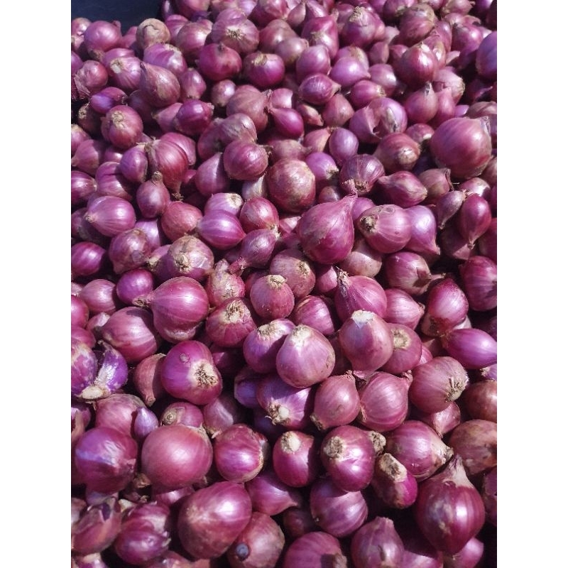 

Bawang Merah asli bagus dan fress