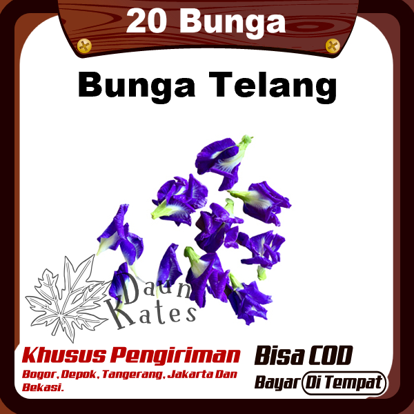 

Bunga Telang Segar Obat Herbal 20 Pcs