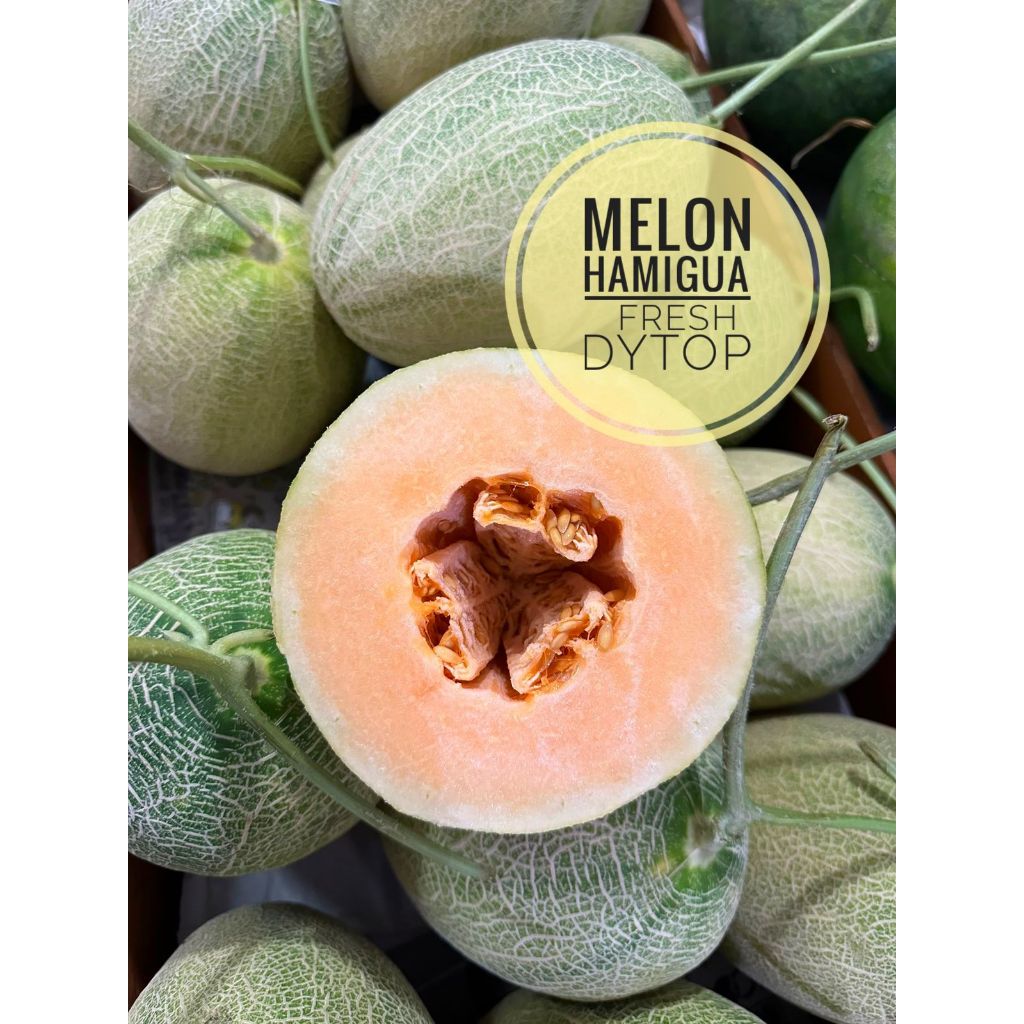 

Buah Melon Madu Melon Oren Melon Hamigua Manis Garing Enak Segar - Pcs
