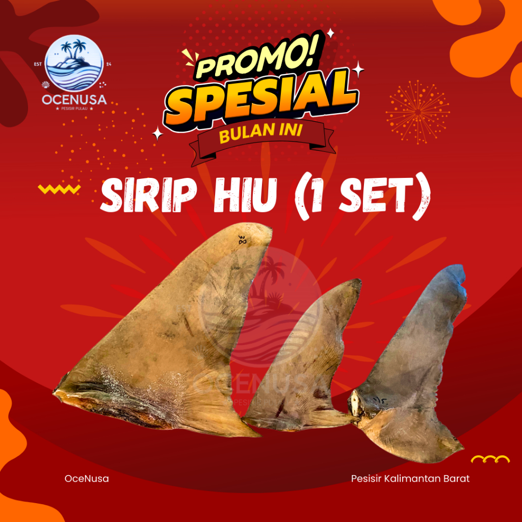 

Sirip Hiu Kering 1 Set - Size 35-40 CM