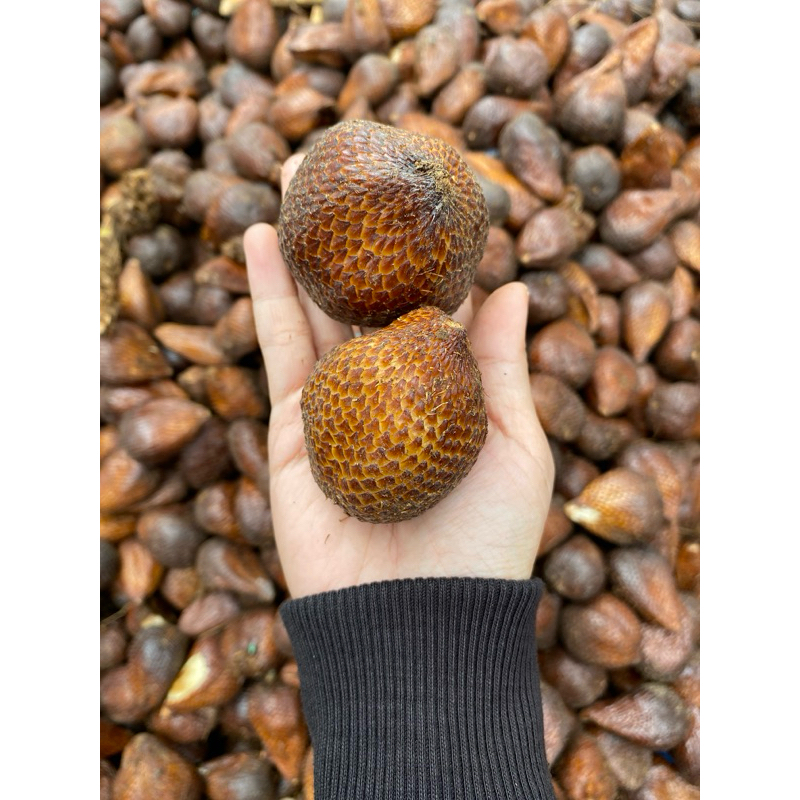 

Salak Pondoh Berat 1 Kg