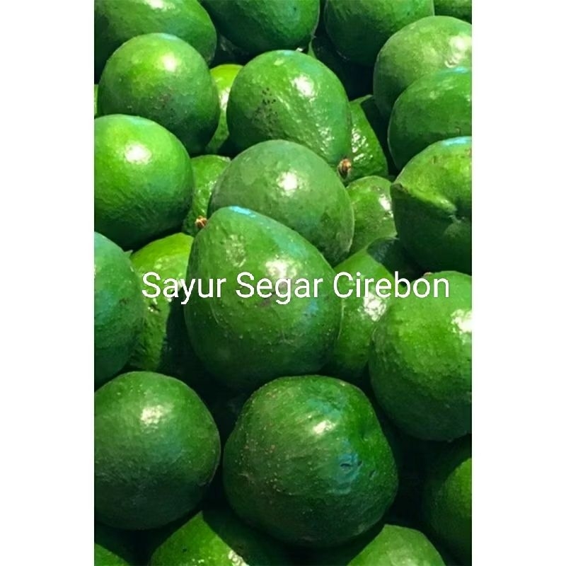 

Alpukat 500gram