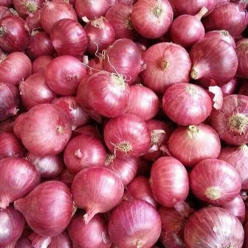 

PASAR FRESH - BAWANG MERAH 250 gr