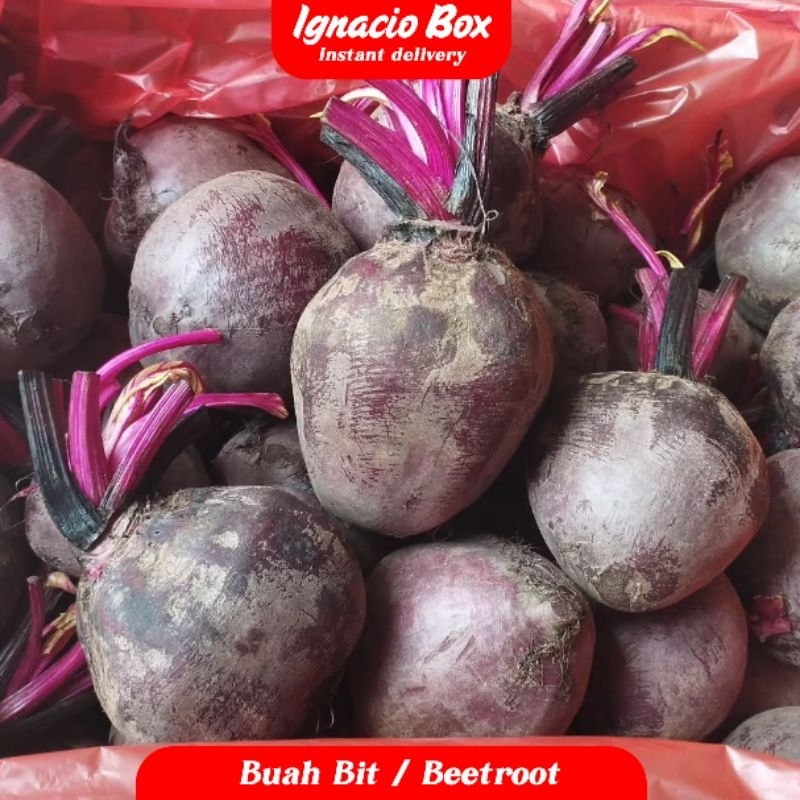 

INSTAN Buah Beet/Beetrot Super Bit Merah Fresh Sweet 250 gr IgnacioBox