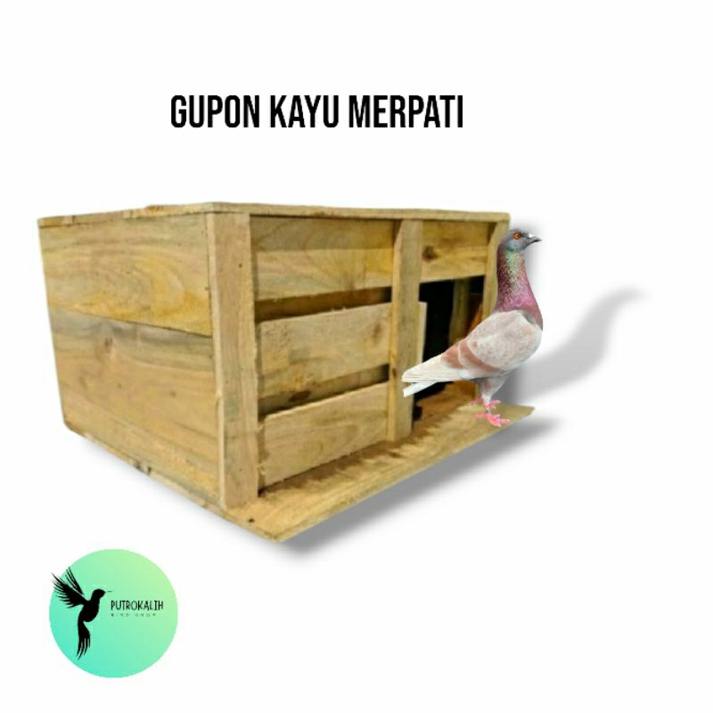 Gupon kayu merpati ukuran tanggung pintu slorok, pagupon, gupon merpati medium