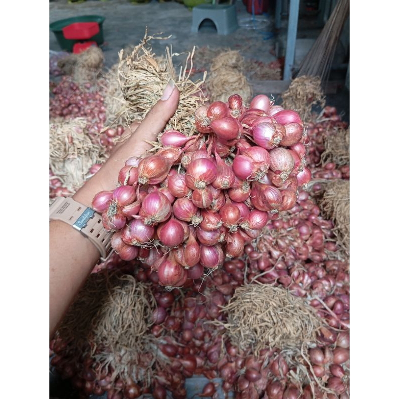 

bawang merah brambang ombyok (500g) bawang merah nganjuk