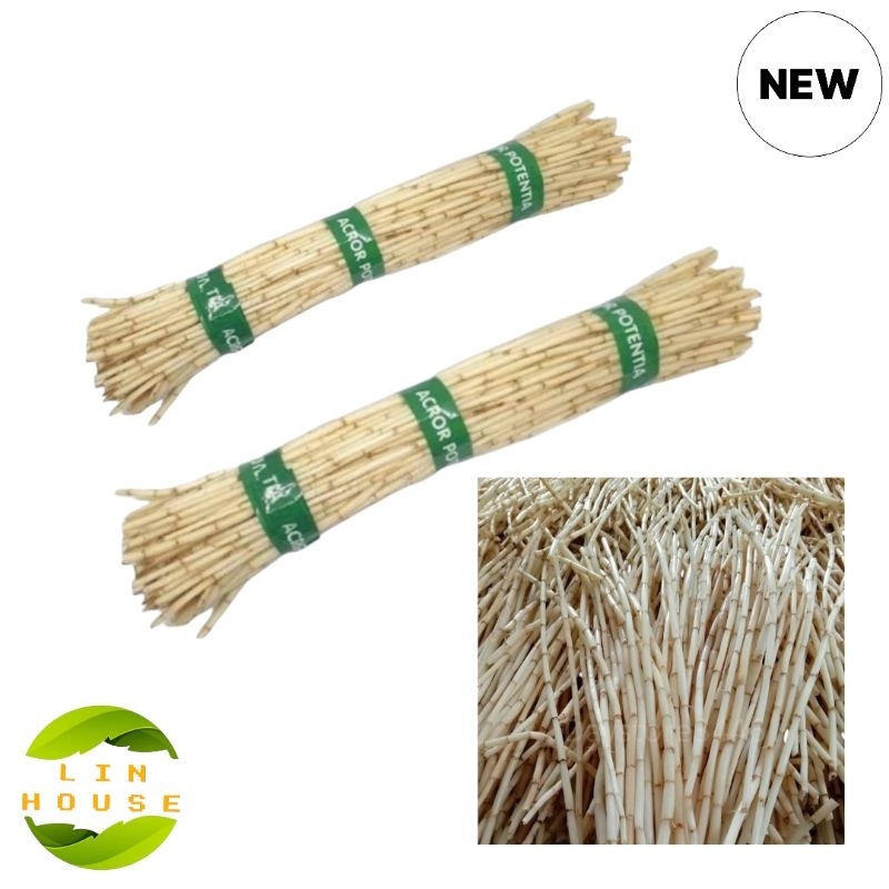 

AKAR ILALANG-AKAR ALANG-ALANG SEGAR DADAKAN KEMASAN HEMAT 300 GRM