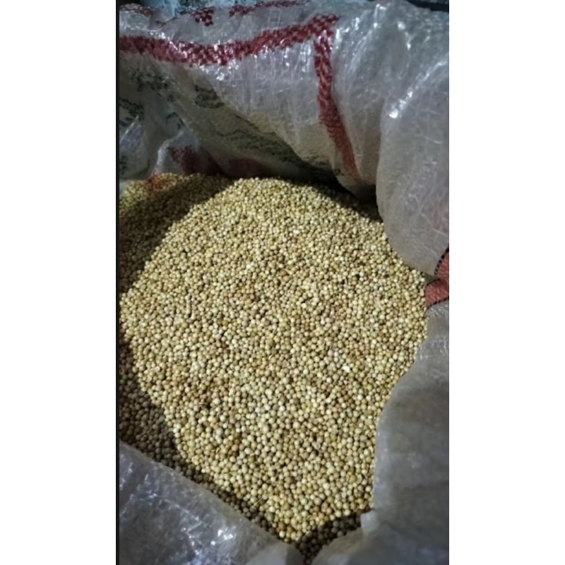 

100gr Ketumbar / Ketumbar Kuning / Coriander / Rempah / 100℅ PREMIUM QUALITY
