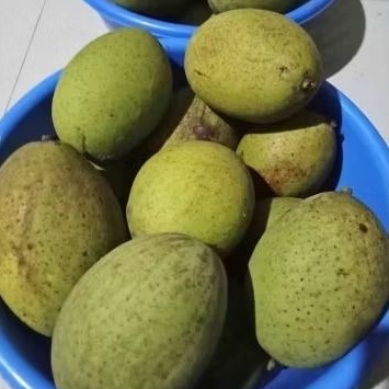 

Pelem Pakel mentah Segar 1 kg