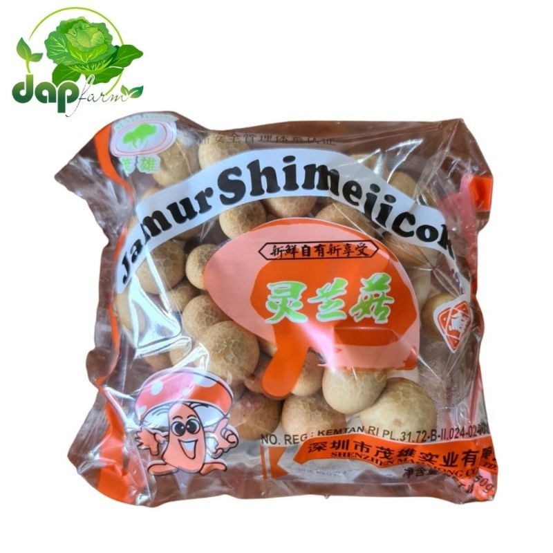 

Jamur Shimeji Coklat Sayur Segar Jakarta - DAP FARM