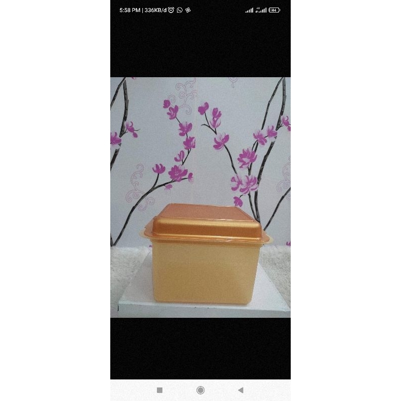 bread love tupperware, wadah roti tawar